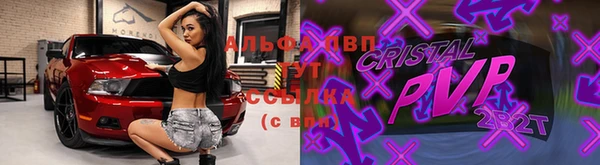 спиды Гвардейск
