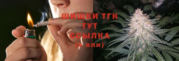 бошки Лабытнанги