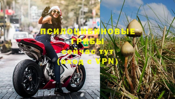 спиды Кулебаки