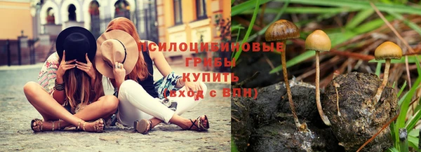 бошки Лабытнанги