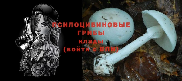 бошки Лабытнанги