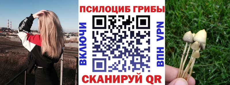 где найти наркотики  Ладушкин  Галлюциногенные грибы ЛСД 